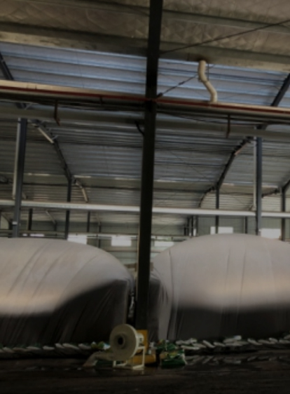 至尊国际 – 至尊服务,至尊享受